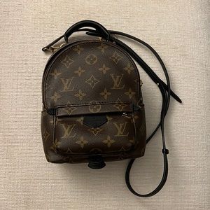 Louis Vuitton Palm Springs Mini Backpack